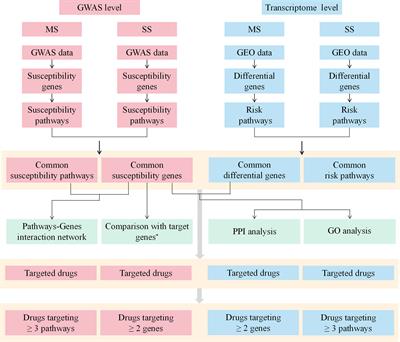 Frontiers | The Shared Mechanism and Candidate Drugs of Multiple